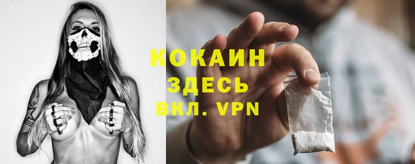 шишки Армянск