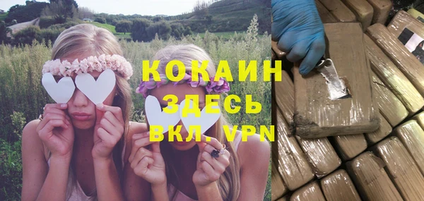 шишки Армянск