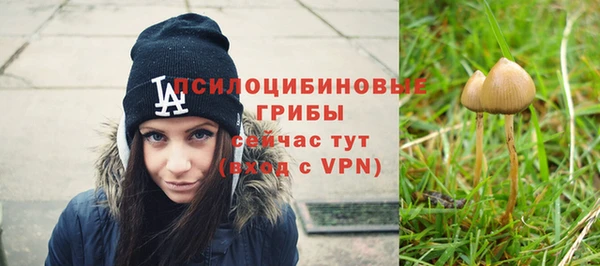крисы Арсеньев