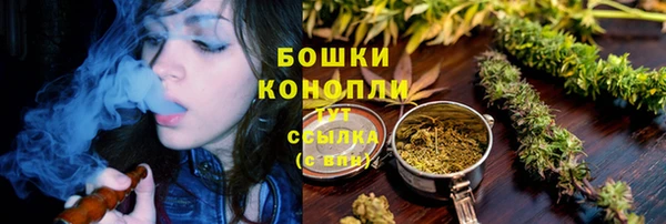 прущие крисы Аркадак